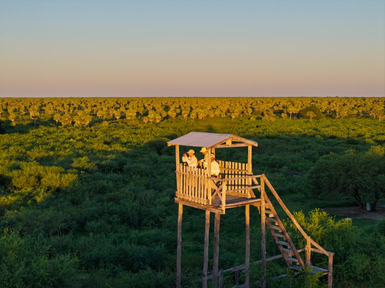Cómo REDD+ Corazón Verde del Chaco Project protege los bosques